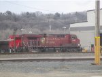 CP 8557 2